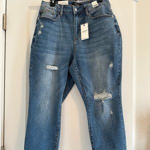 Judy Blue High Rise Skinny Jean, Size 14W